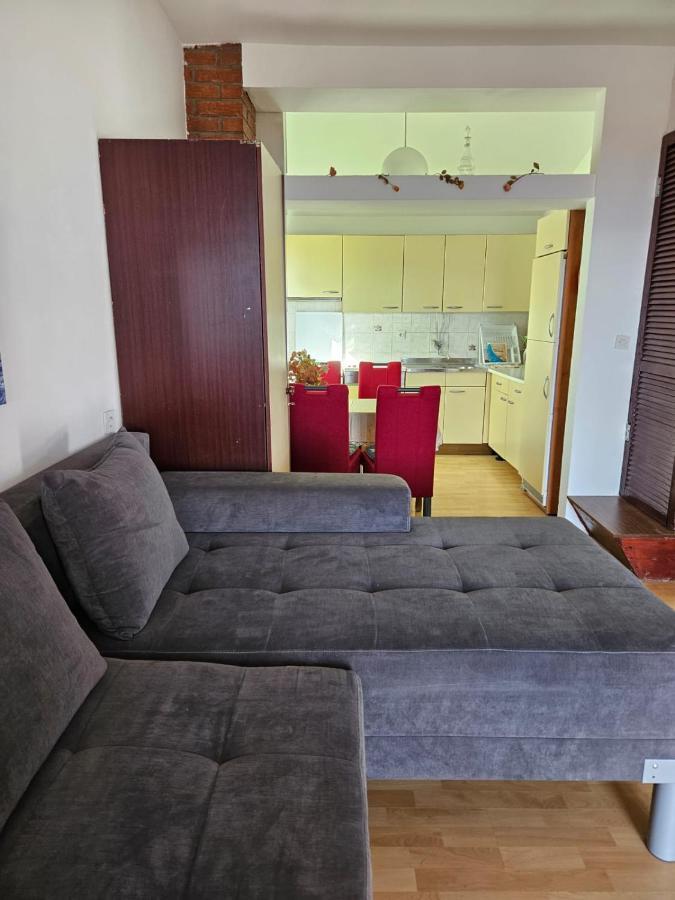 Apartments With Swimming Pool 9X4M Selce Exterior photo